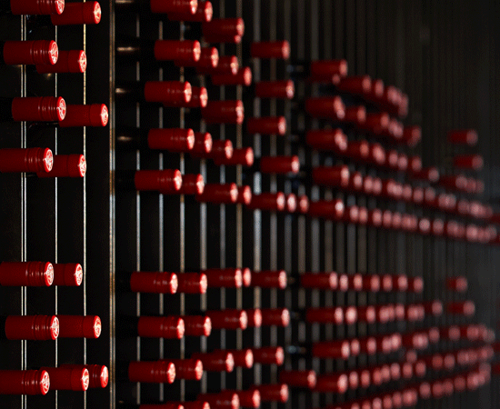 Line up of red bottle capsules in cellar