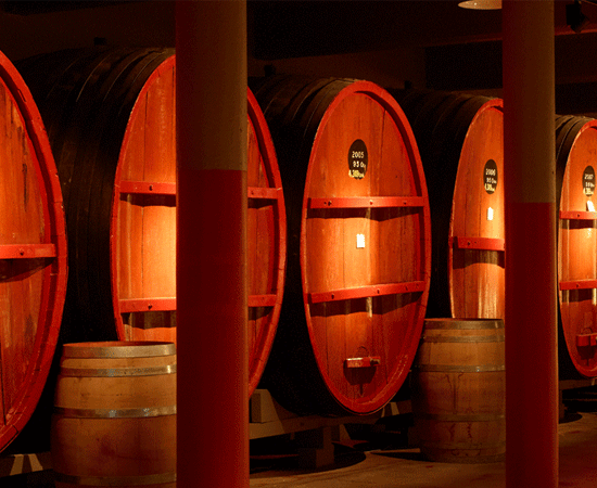 Large St Henri barrels warmly lit in the tunnels of Magill Estate